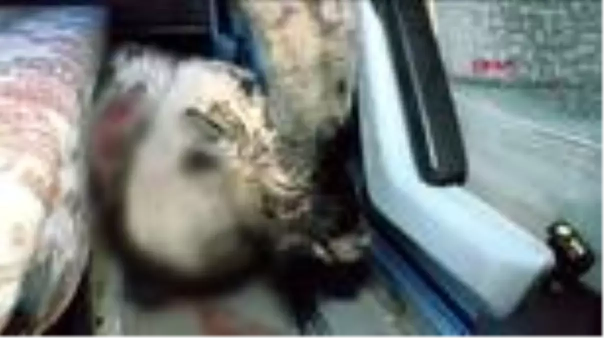 Yaralı bulunan yaban keçisi telef oldu