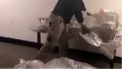 Avustralya polisinden 154 kilogramlık eroin operasyonu Avustralya polisinden 154 kilogramlık eroin operasyonu