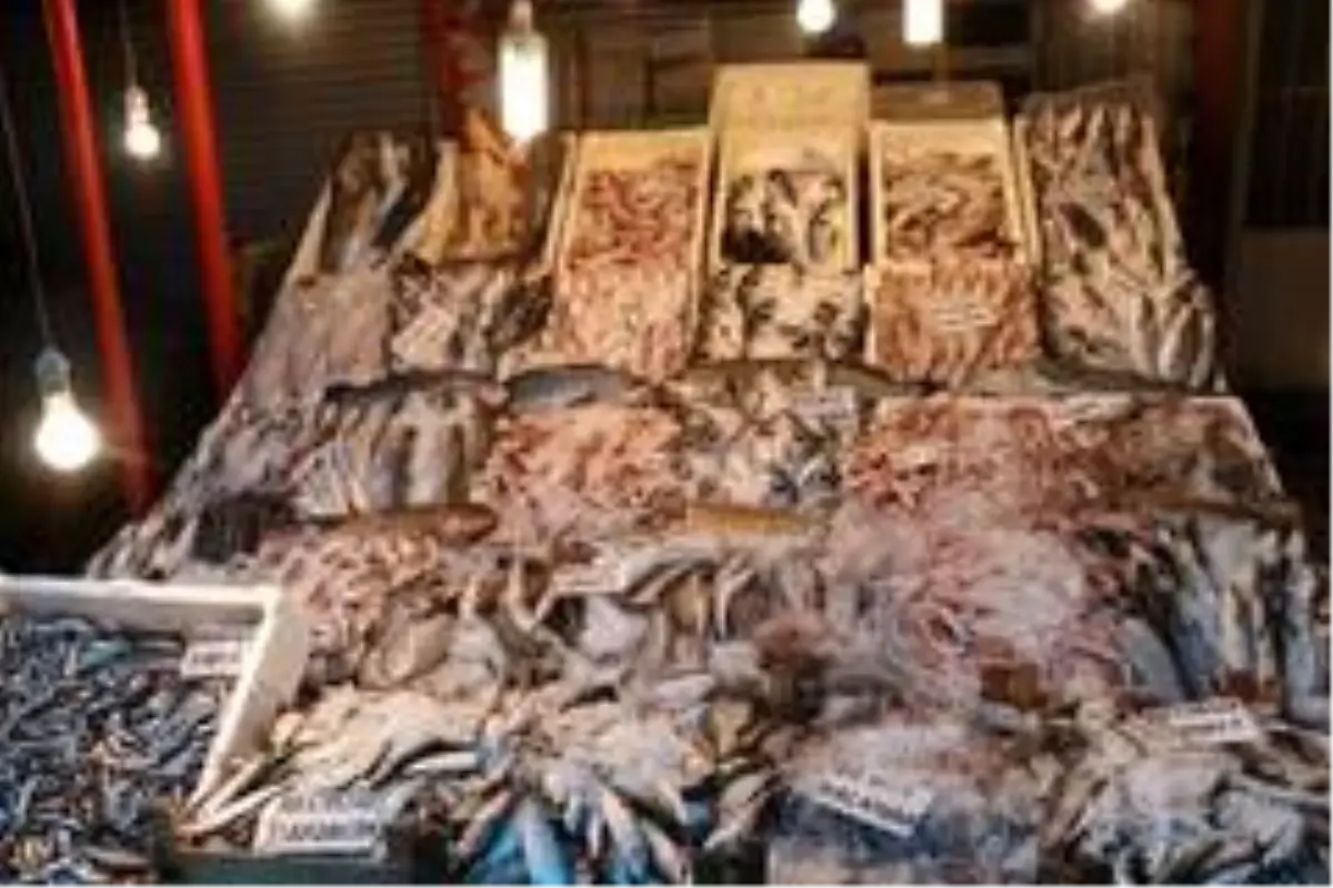 Balıkçılar çiftlik balıklarının fiyatlarının artmasına tepkili