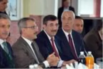 Bingöl'de, 20 yıldır kan davalı aileler barıştırıldı