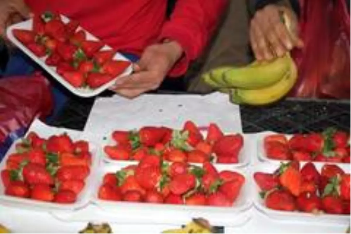 Çilek, kilosu 30 liradan pazara giriş yaptı