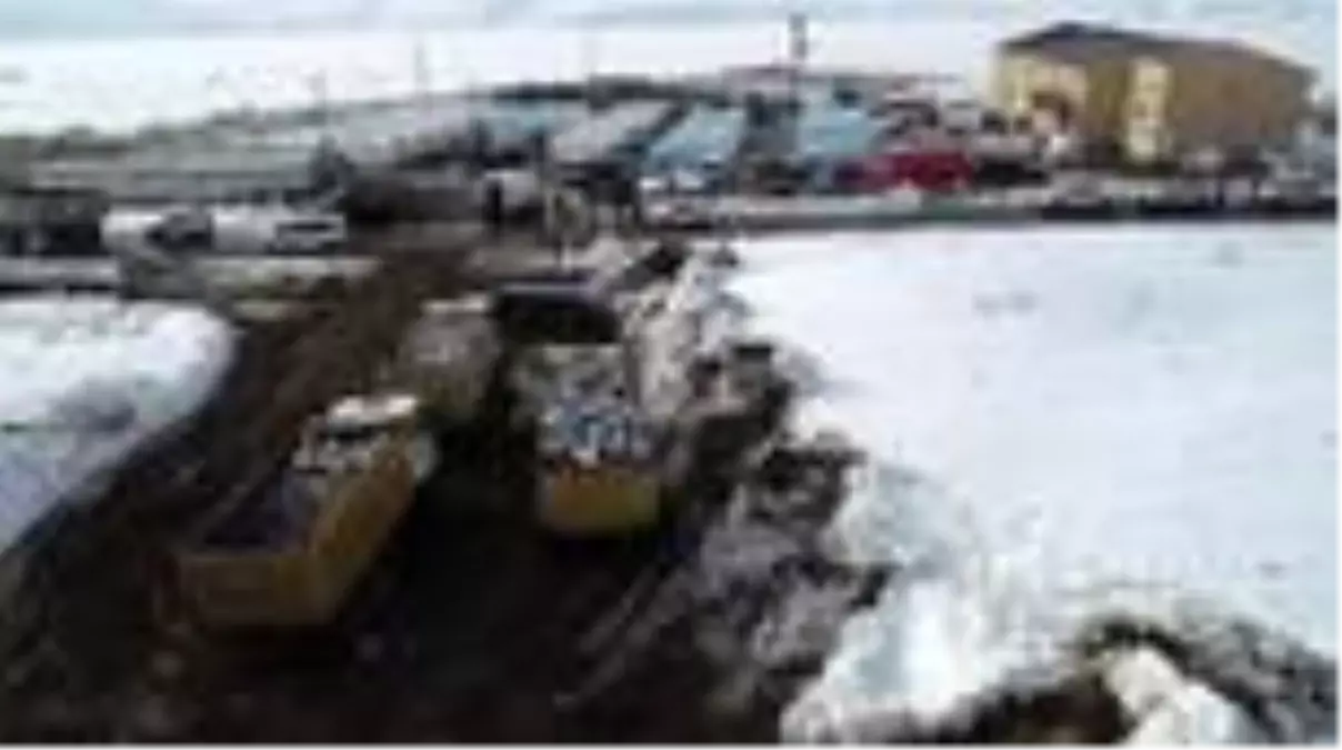 Depremzedelerin yaraları sarılıyor