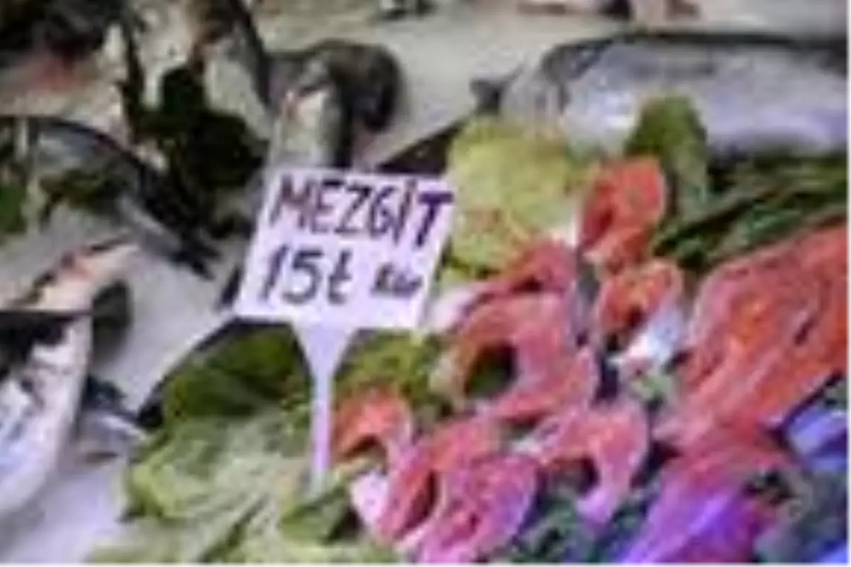 Karadeniz'de hamsi azaldı, mezgit arttı