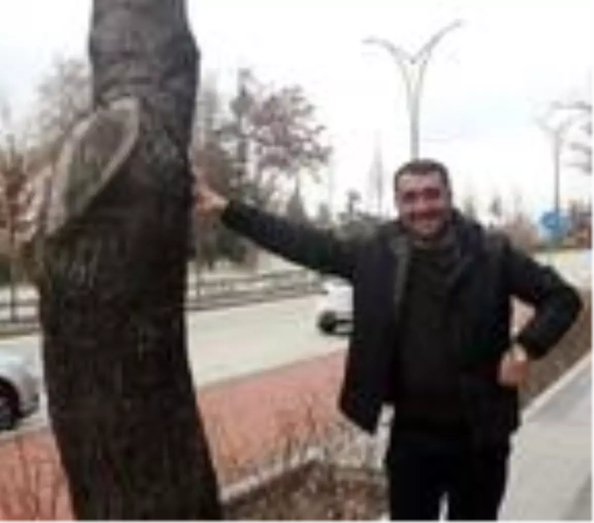 Mahkeme 50 bin liralık ağaç kesme cezasının 38 bin 400 lirasını iptal etti