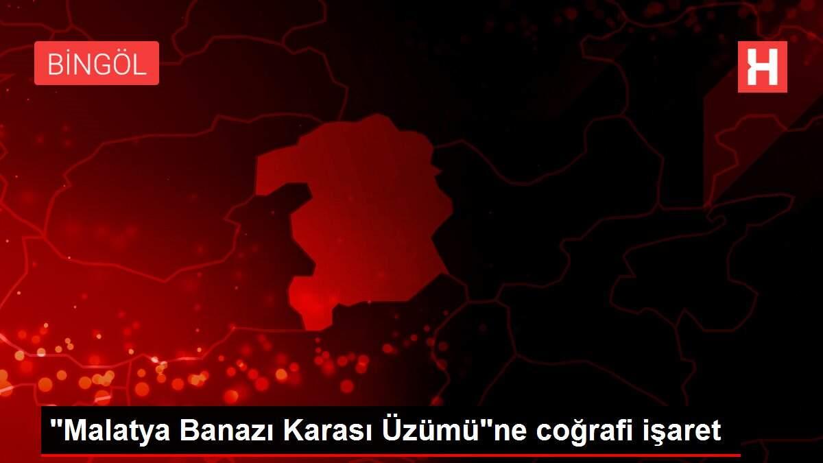 'Malatya Banazı Karası Üzümü'ne coğrafi işaret