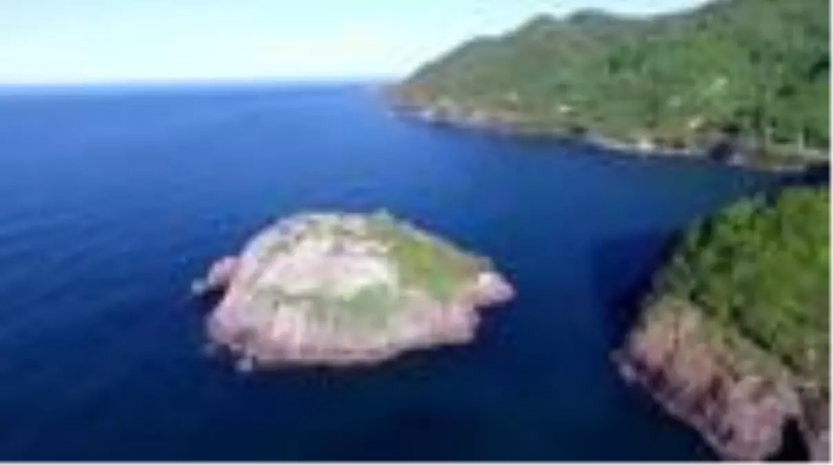 'Sakin şehir' Perşembe'deki Hoynat Adası turizme kazandırılacak - ORDU