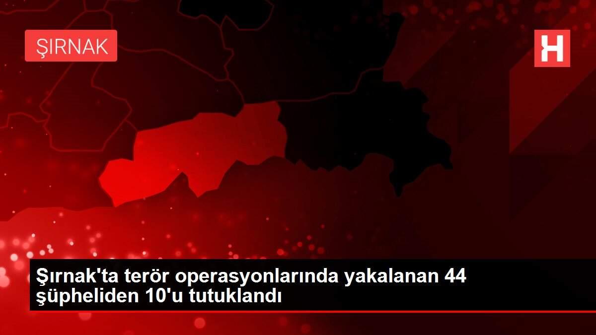 Şırnak'ta terör operasyonlarında yakalanan 44 şüpheliden 10'u tutuklandı