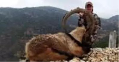 Amerikalı kadın avcı, Adıyaman'da boynuz uzunluğu 130 santimetreyi bulan dağ keçisini avladı