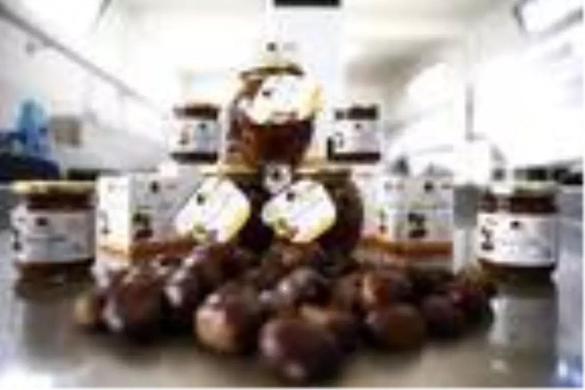 Denizli kestane şekerinde marka olacak