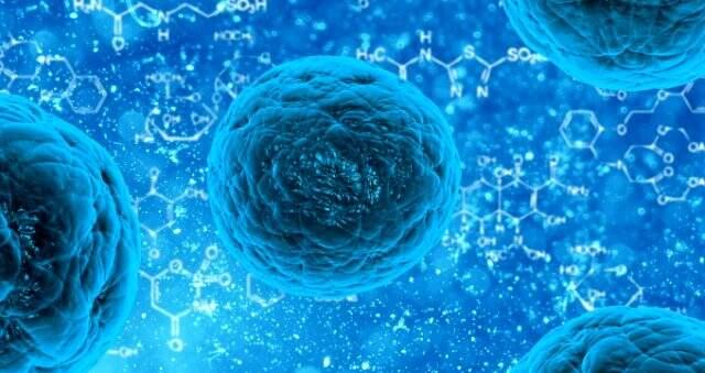Koronavirüs nedir? Coronavirus belirtileri nelerdir? Koronavirüs tedavisi nasıl yapılır? Koronavirüs hakkında merak edilenler!