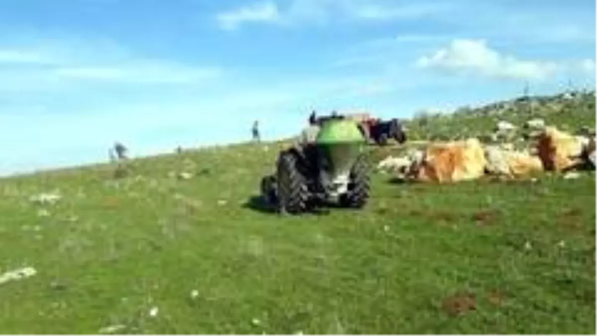 Meralarda ilkbahar gübrelemesi