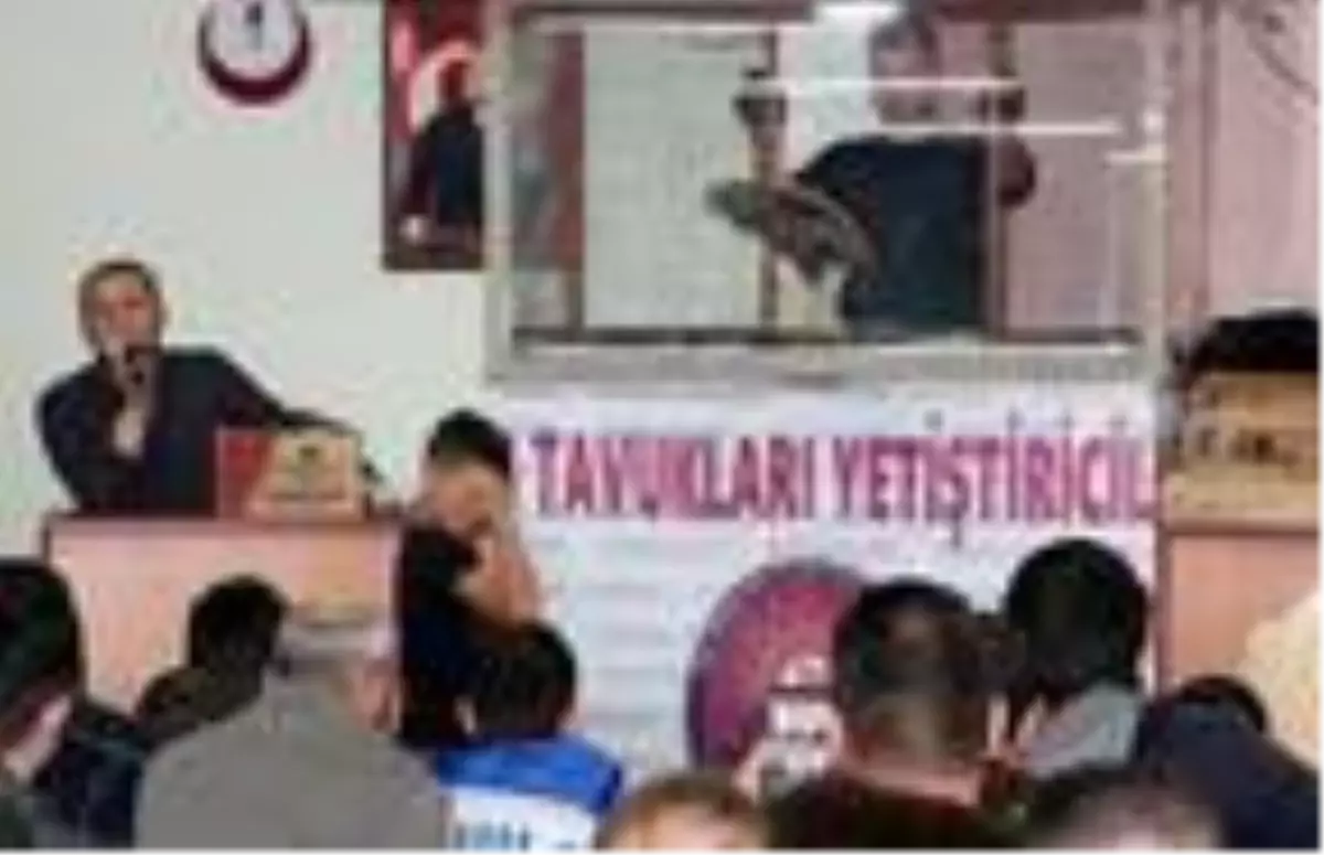 Mezatta 2 bin liraya kanatlı hayvan