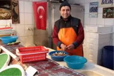 (Özel) Balıkçılar açıkladı: 'Böyle giderse balıkçılık biter' (Özel) Balıkçılar açıkladı: 'Böyle giderse balıkçılık biter'