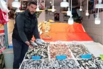 (Özel) Balıkçılar açıkladı: 'Böyle giderse balıkçılık biter' (Özel) Balıkçılar açıkladı: 'Böyle giderse balıkçılık biter'