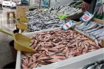 (Özel) Balıkçılar açıkladı: 'Böyle giderse balıkçılık biter' (Özel) Balıkçılar açıkladı: 'Böyle giderse balıkçılık biter'