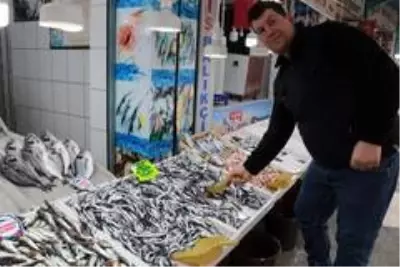(Özel) Balıkçılar açıkladı: 'Böyle giderse balıkçılık biter' (Özel) Balıkçılar açıkladı: 'Böyle giderse balıkçılık biter'