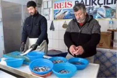 (Özel) Balıkçılar açıkladı: 'Böyle giderse balıkçılık biter' (Özel) Balıkçılar açıkladı: 'Böyle giderse balıkçılık biter'
