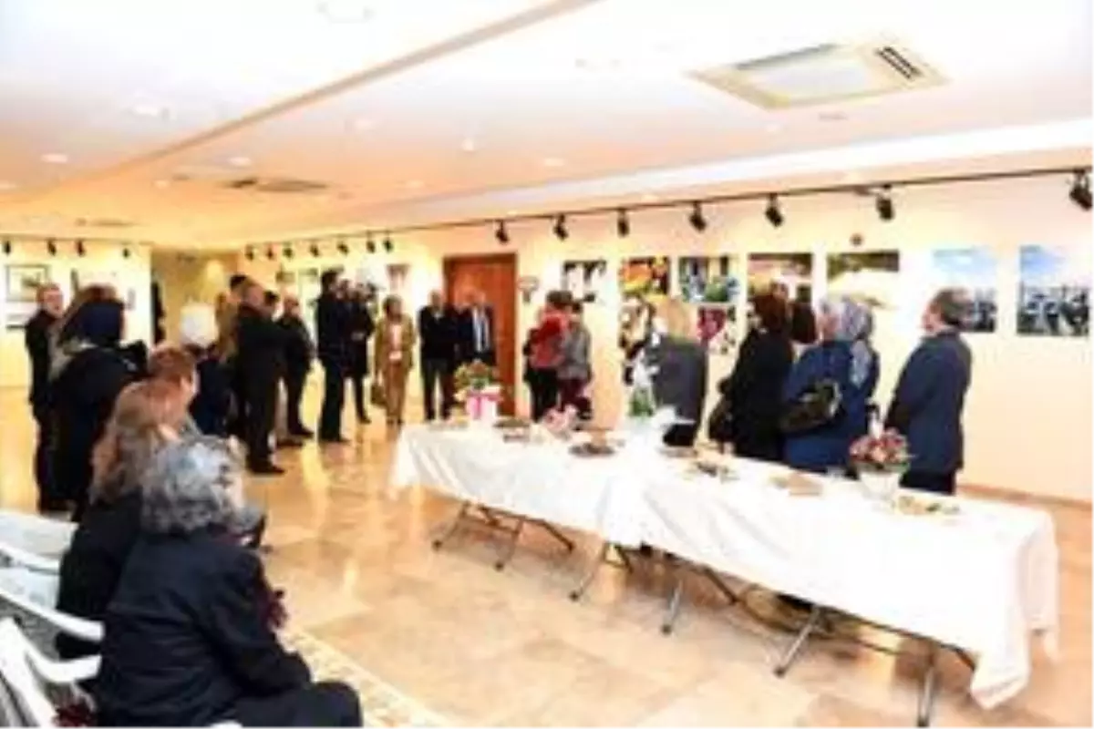 Ressam Gül Saracoğlu fotoğraf sergisi açtı