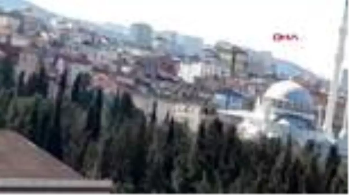 Sultanbeyli'de orman yangını -2