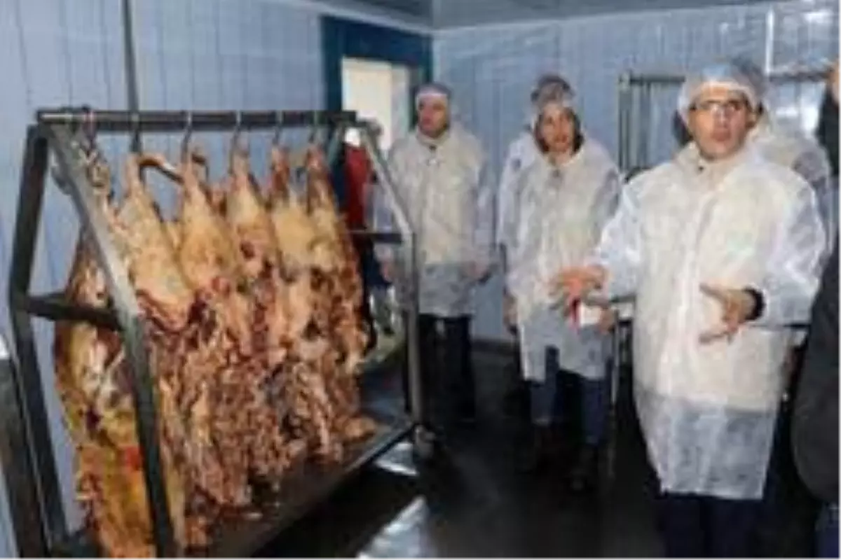 Ağrı'da gıda denetim seferberliği tamamlandı