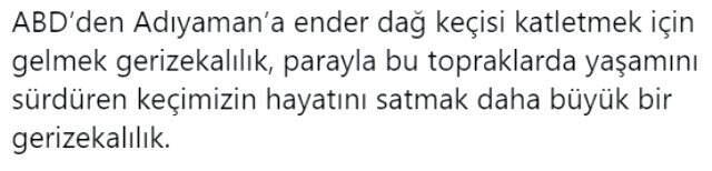 Amerikalı kadın avcının Adıyaman'a gelip dağ keçisi avlaması tepki çekti