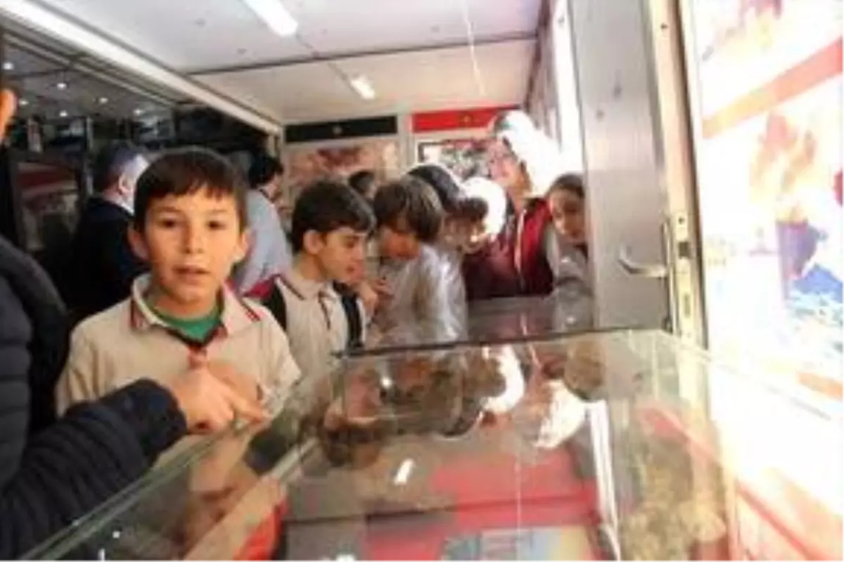 'Çanakkale 1915 Müzesi Gezici Tırı' Osmaneli'de