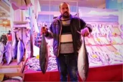Eskişehir halkı ton balığını sevdi Eskişehir halkı ton balığını sevdi