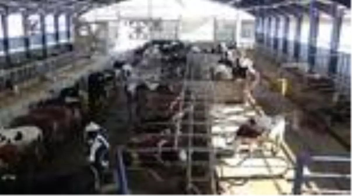 Öğretim üyeleri 'Çiftlik İzleme Yönetim Sistemi' yazılımı geliştirdi