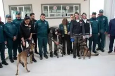 Gümrük kapılarında korona virüsü tedbirleri alındı Gümrük kapılarında korona virüsü tedbirleri alındı