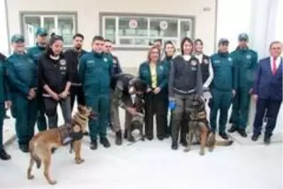 Gümrük kapılarında korona virüsü tedbirleri alındı Gümrük kapılarında korona virüsü tedbirleri alındı