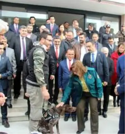 Gümrük kapılarında korona virüsü tedbirleri alındı Gümrük kapılarında korona virüsü tedbirleri alındı