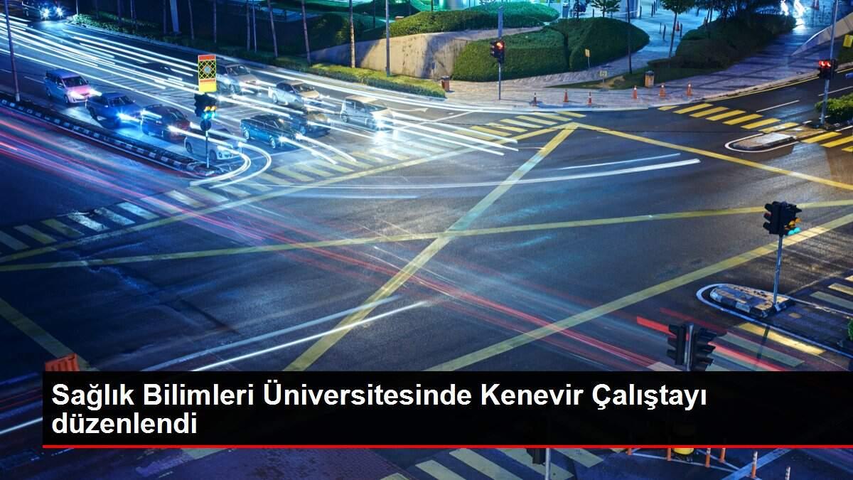 Sağlık Bilimleri Üniversitesinde Kenevir Çalıştayı düzenlendi Sağlık Bilimleri Üniversitesinde Kenevir Çalıştayı düzenlendi