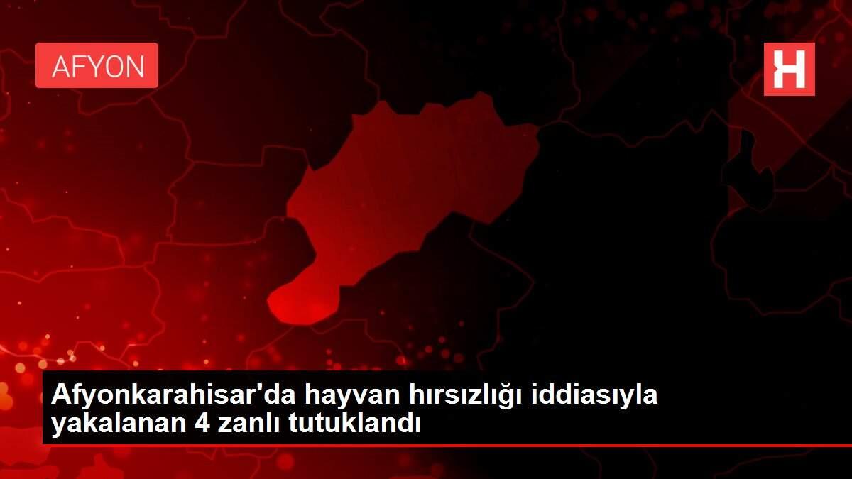 Afyonkarahisar'da hayvan hırsızlığı iddiasıyla yakalanan 4 zanlı tutuklandı