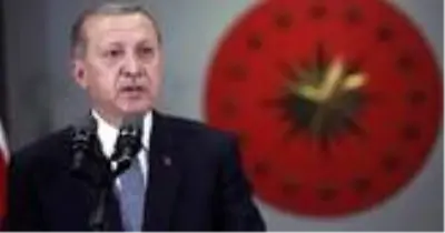Son dakika: Cumhurbaşkanı Erdoğan, 4 ülkenin lideri ile görüşecek Son dakika: Cumhurbaşkanı Erdoğan, 4 ülkenin lideri ile görüşecek