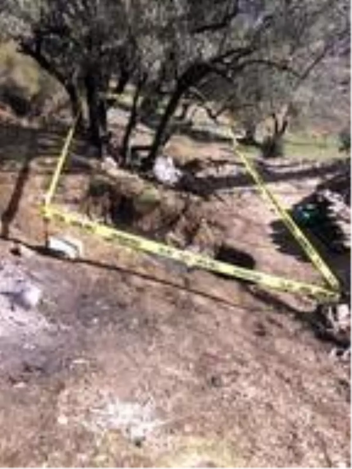 Akhisar'da tarihi eser kaçakçılığına 2 gözaltı