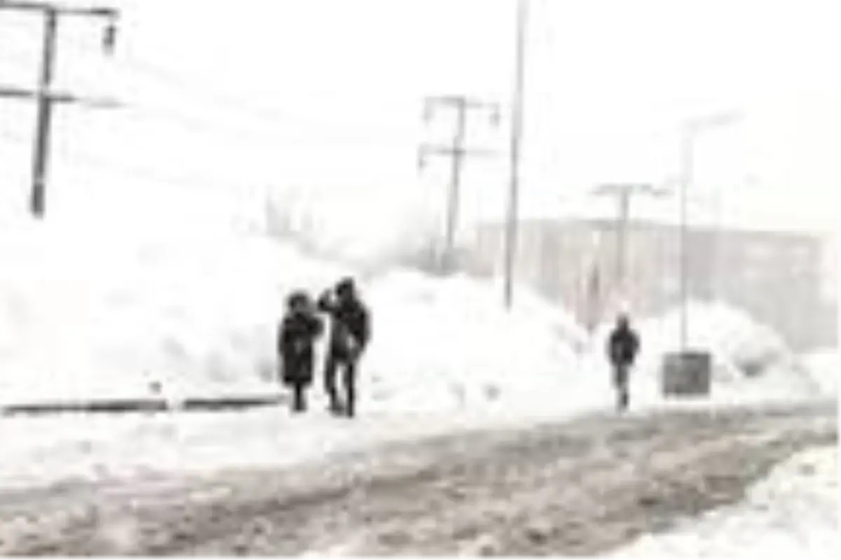 Bitlis'te kar yağışı etkili oluyor