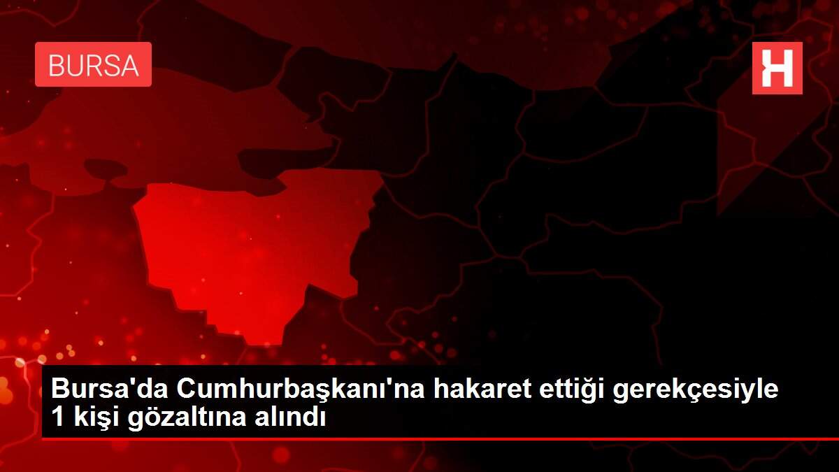 Bursa'da Cumhurbaşkanı'na hakaret ettiği gerekçesiyle 1 kişi gözaltına alındı
