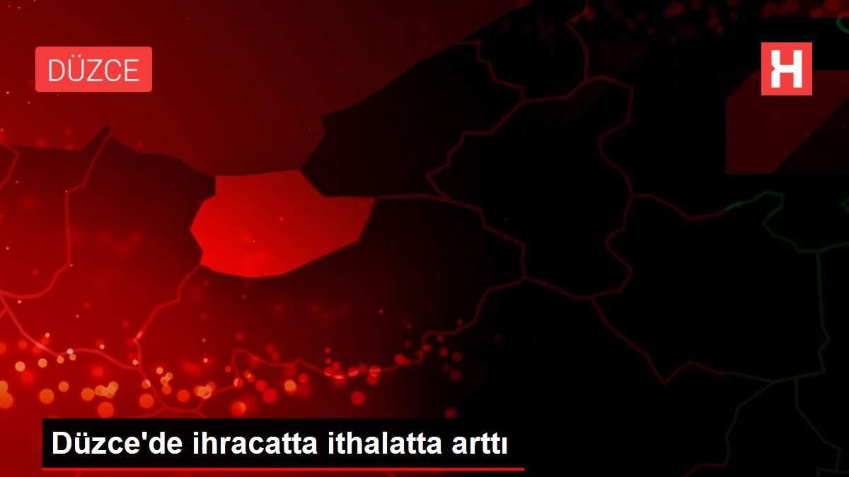 Düzce'de ihracatta ithalatta arttı