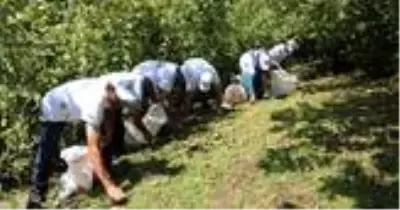 Fındık için sigorta başvuru süresi 10 Mart'ta sona eriyor