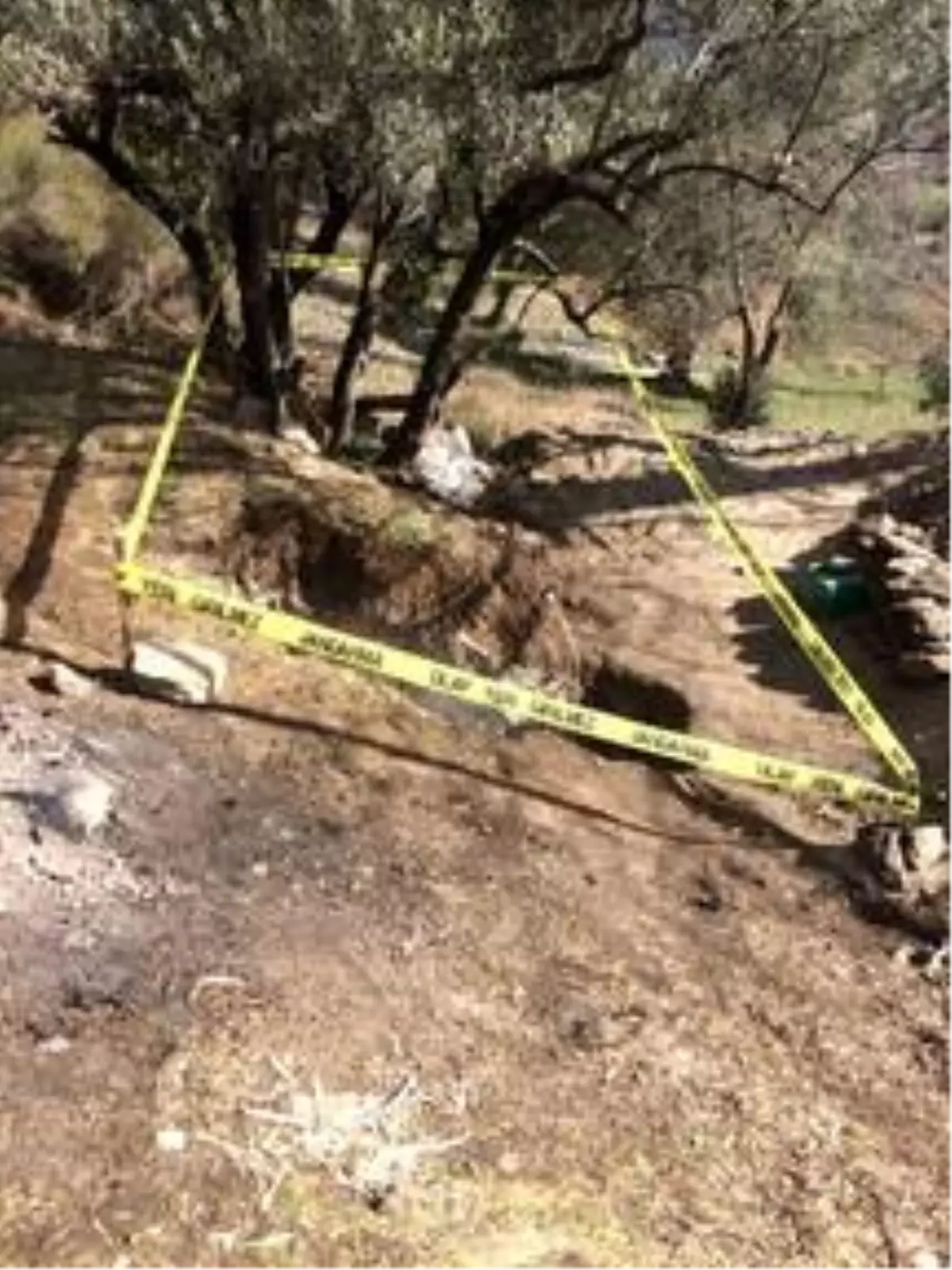 Manisa'da kaçak kazı operasyonunda 3 kişi yakalandı