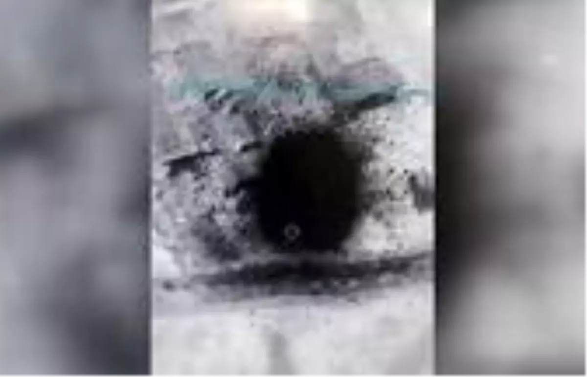 TSK'nın Esad rejimine verdiği karşılıkta 3 general de öldürüldü