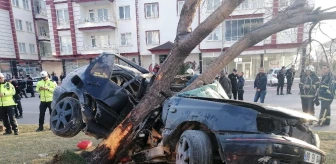 Refüje çıkan otomobil, ağacı yerinden söktü: 2 ölü, 1 ağır yaralı