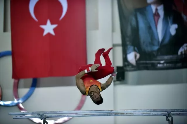 Türkiye Cimnastik Şampiyonası sona erdi Türkiye Cimnastik Şampiyonası sona erdi