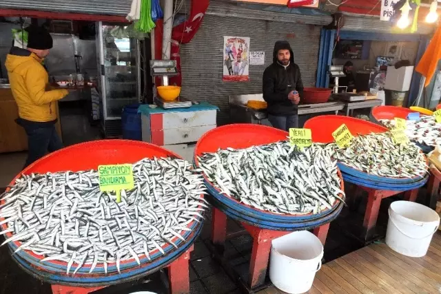 Hamsinin fiyatı 35 lira ile rekor kırdı Hamsinin fiyatı 35 lira ile rekor kırdı
