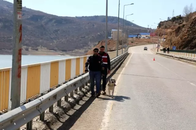 Kayıp Gülistan'ı arama çalışmaları sürüyor