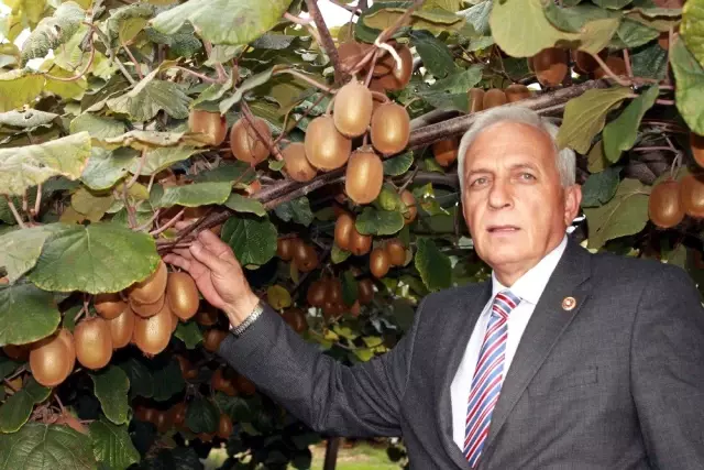 Kivi'ye Coronavirüs darbesi