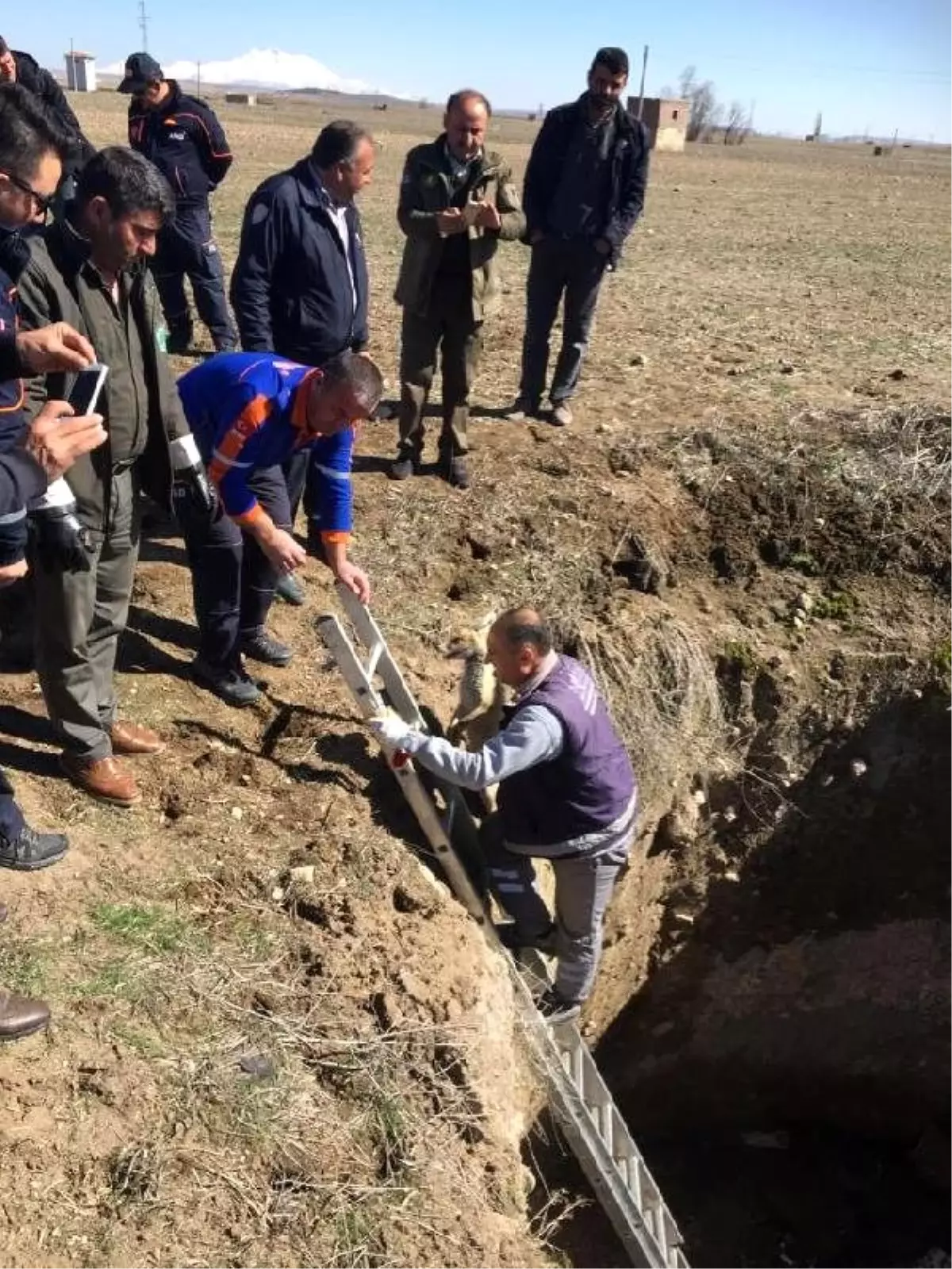 Kuyuya düşen 2 tilki kurtarıldı