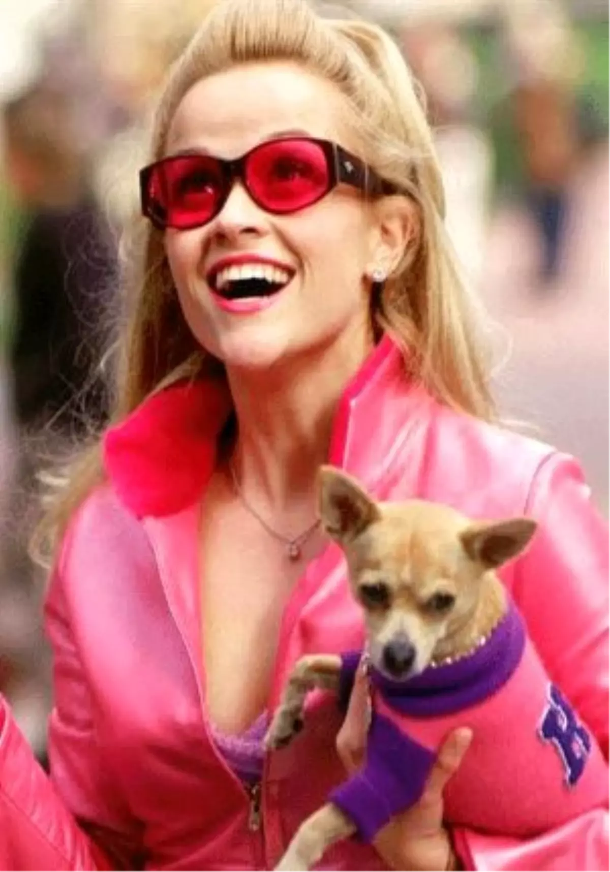 Legally Blonde 3 Filmi