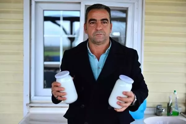 Litre fiyatı 150 lira olan eşek sütüne yoğun ilgi.