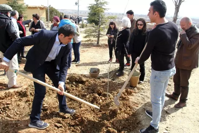 Müslüm Gürses'in ismi Şükran Köyü'nde dikilen çınar ve büstüyle yaşatılacak Müslüm Gürses'in ismi Şükran Köyü'nde dikilen çınar ve büstüyle yaşatılacak